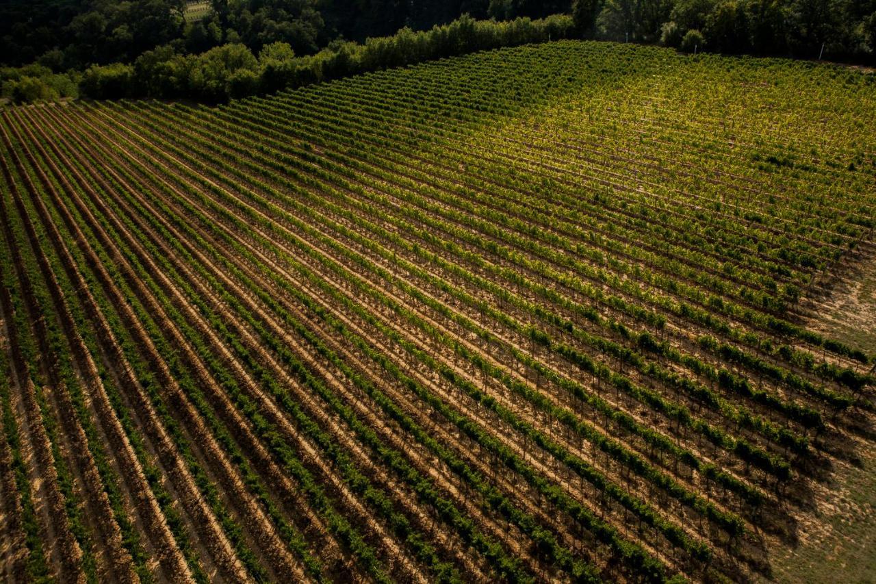 Il Borro Relais&Châteaux San Giustino Valdarno Esterno foto